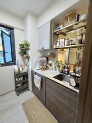 The Florence Residences (D19), Apartment #558532121